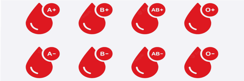 blood cells-blood groups-newzxpress