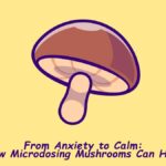 How Microdosing Mushrooms Can Help?