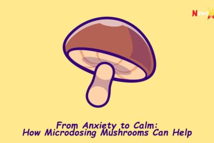How Microdosing Mushrooms Can Help?