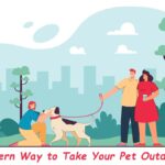 Way to Take Your Pet Outdoors