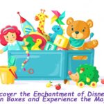 Disney's Subscription Boxes and Experience
