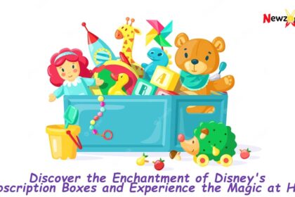 Disney's Subscription Boxes and Experience