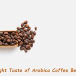 Flavorful World of Arabica Coffee Beans
