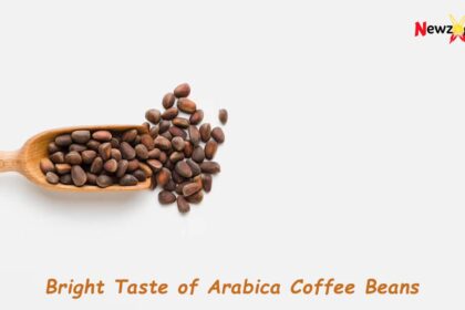 Flavorful World of Arabica Coffee Beans