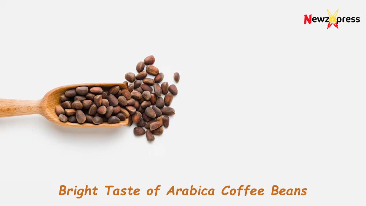 The Bright Taste of Arabica Coffee Beans