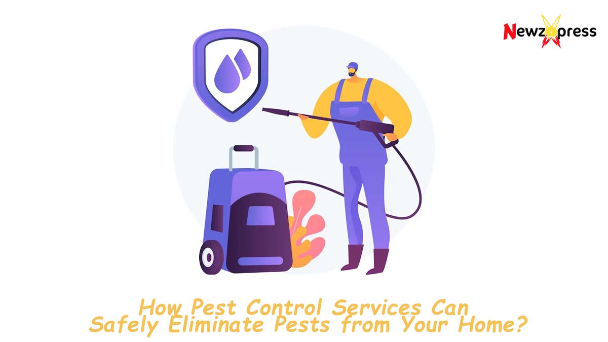 How Pest Control Services Can Safely Eliminate Pests Your Home?