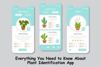 Plant Identification Apps