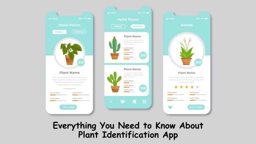 Plant Identification Apps
