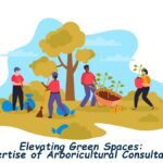 Arboricultural Consultancy Firms