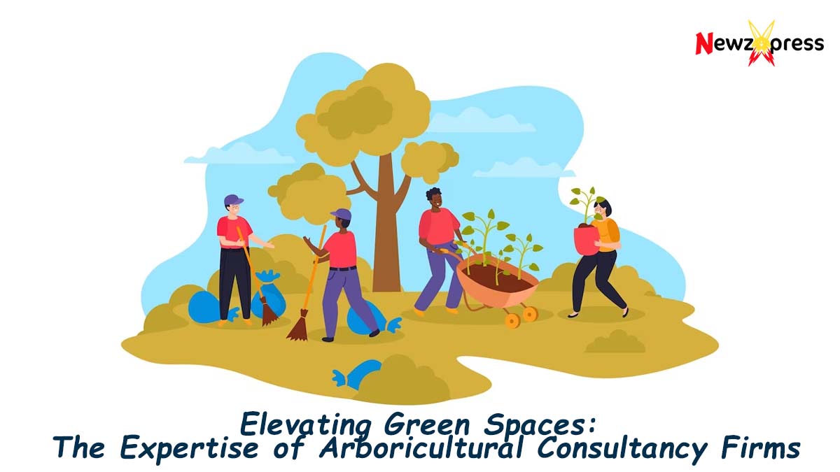 Elevating Green Spaces: The Expertise of Arboricultural Consultancy Firms