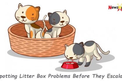 Spotting Litter Box Problems Before They Escalate