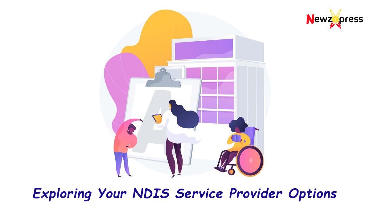 Exploring Your NDIS Service Provider Options